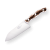 Elk Antler
